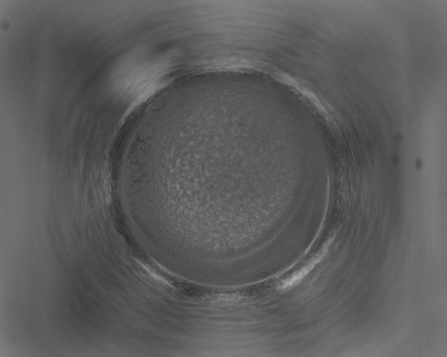 X0000051251306200506241536