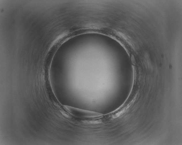 X0000051251307200506241536