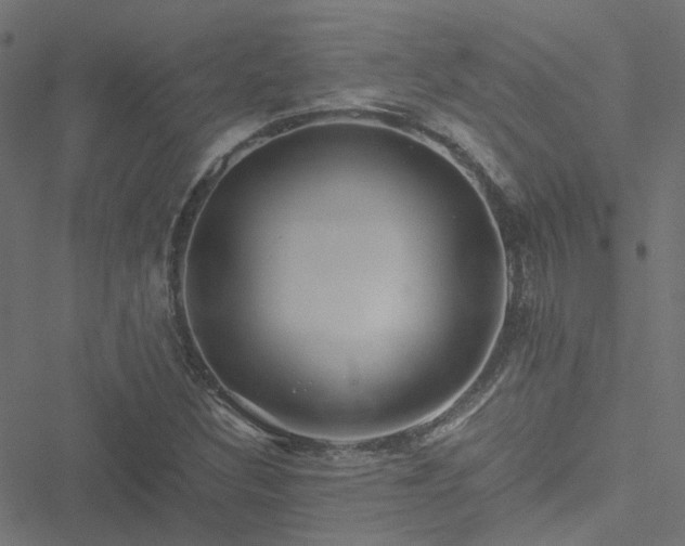 X0000051251308200506241536