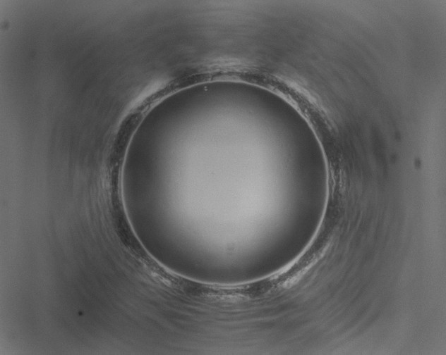 X0000051251309200506241536