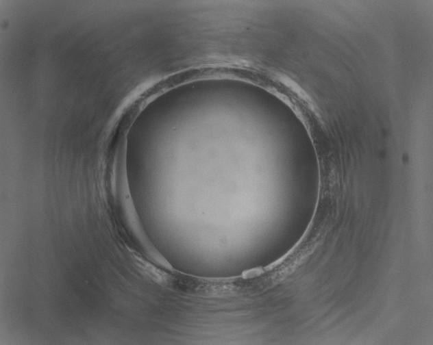 X0000051251310200506241536