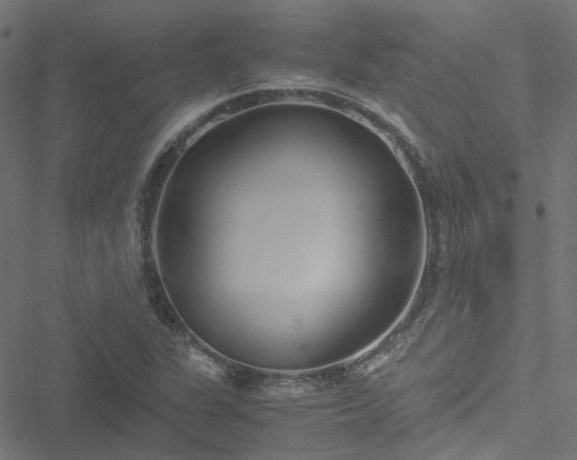 X0000051251311200506241536