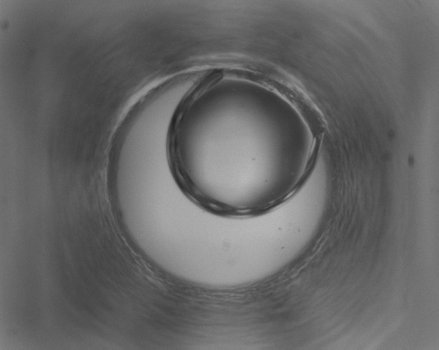 X0000051251312200506241536