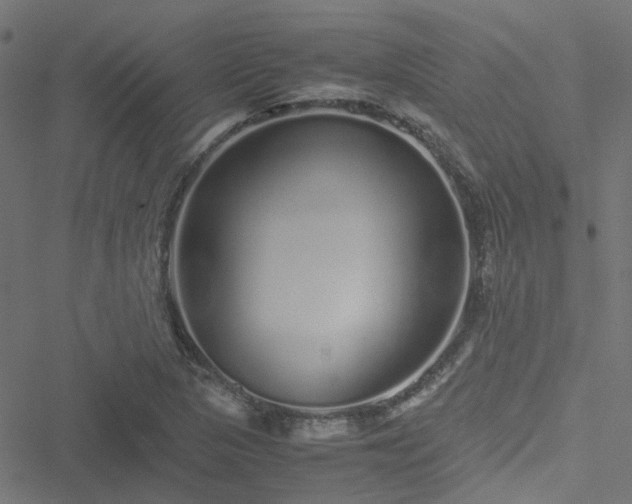 X0000051251313200506241536