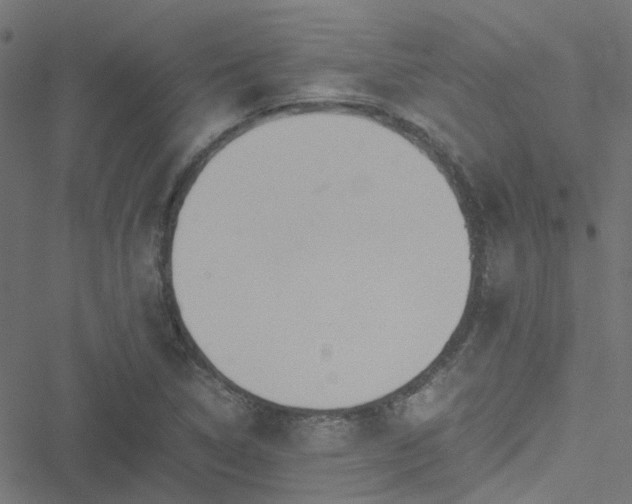 X0000051251314200506241536