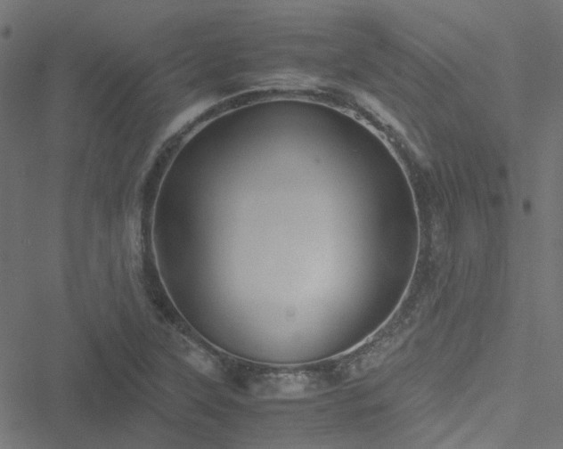 X0000051251315200506241536