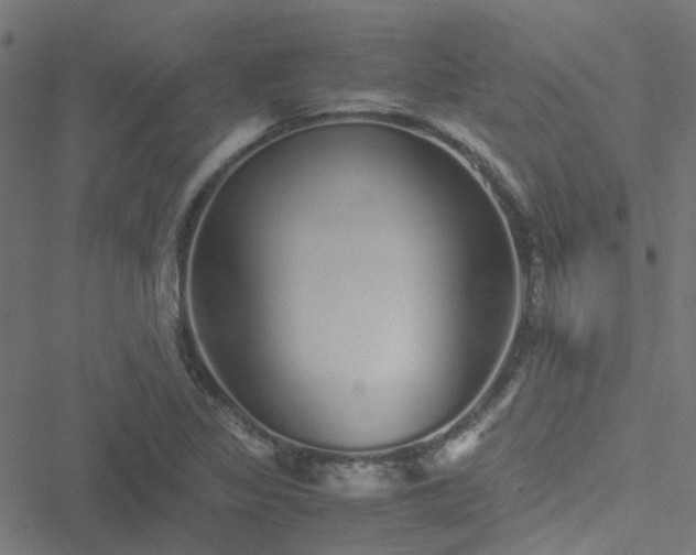 X0000051251317200506241536