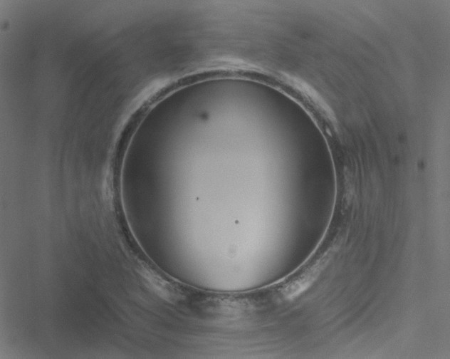 X0000051251318200506241536