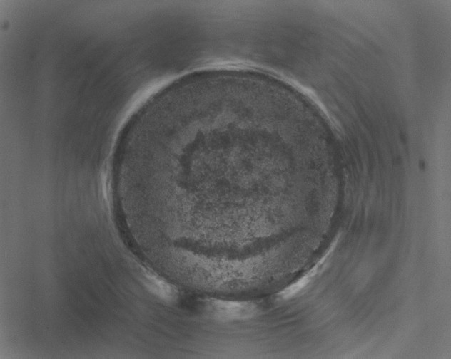 X0000051251319200506241536