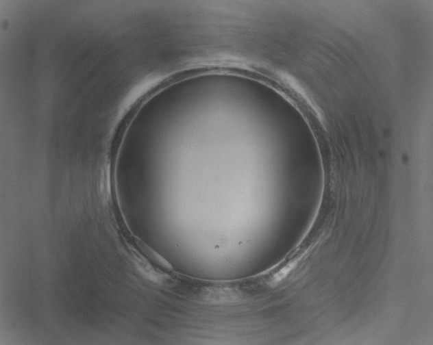 X0000051251320200506241537