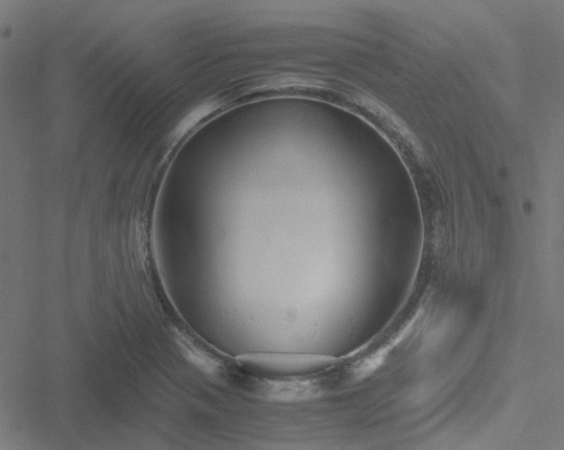 X0000051251321200506241537