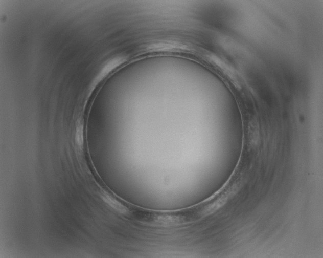 X0000051251322200506241537