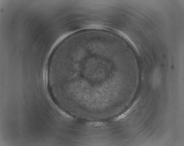 X0000051251323200506241537