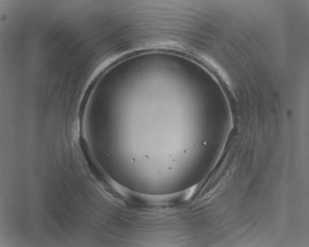 X0000051251324200506241537