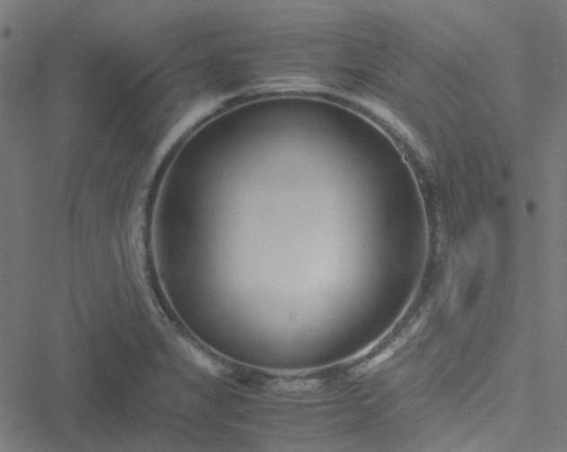 X0000051251325200506241537