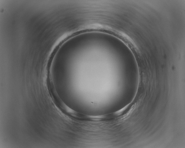 X0000051251326200506241537