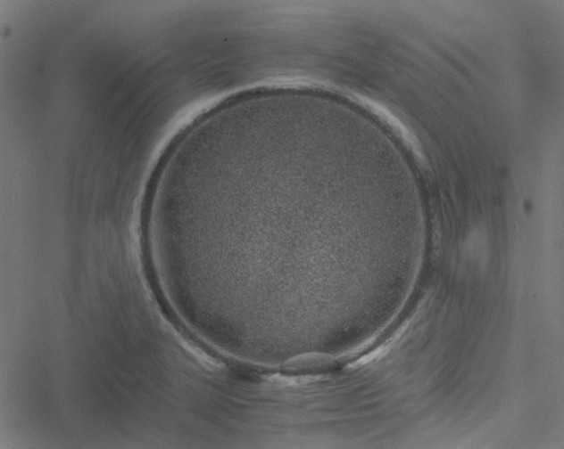 X0000051251327200506241537