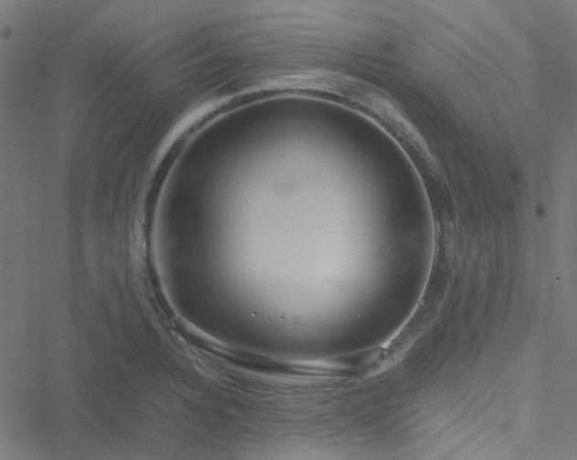 X0000051251328200506241537