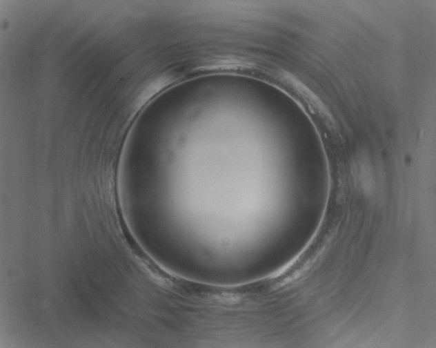 X0000051251329200506241537