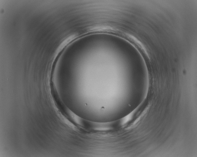 X0000051251330200506241537