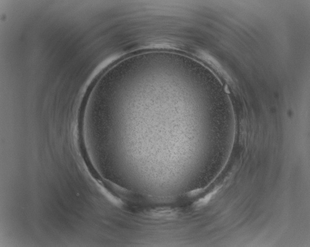 X0000051251331200506241537