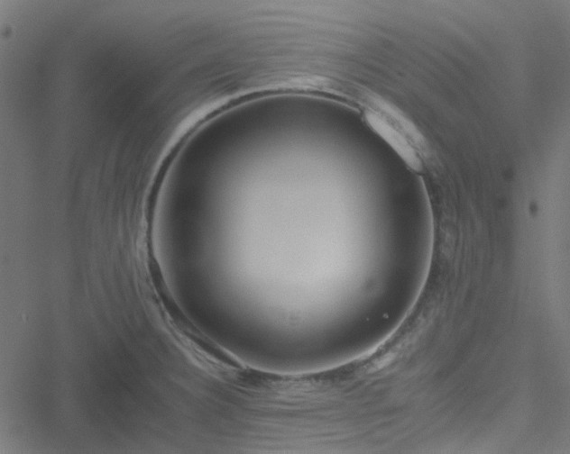 X0000051251332200506241537