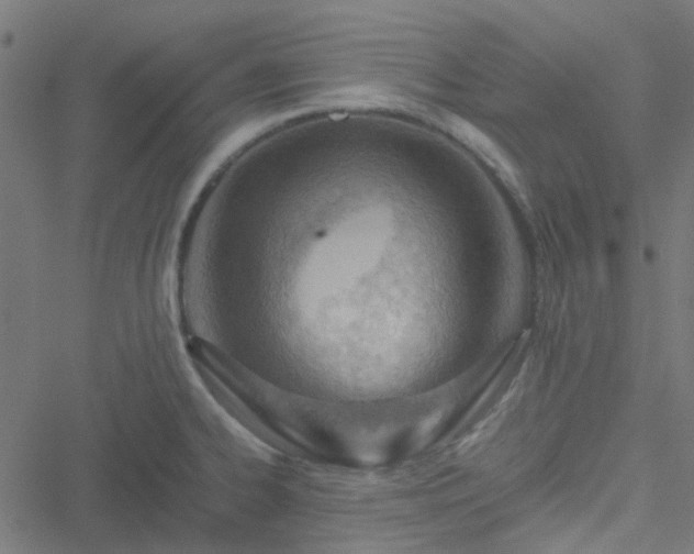 X0000051251334200506241537