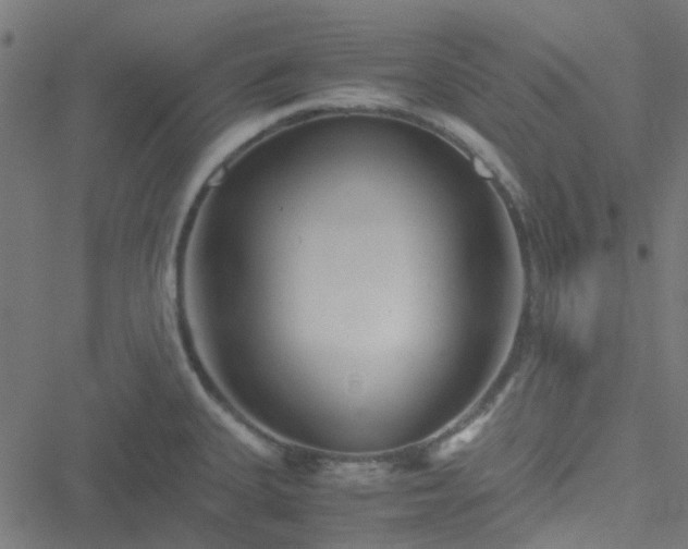 X0000051251335200506241537