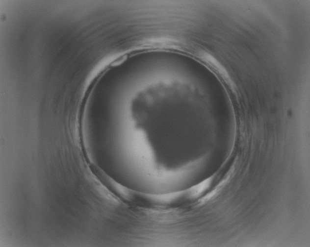 X0000051251336200506241537