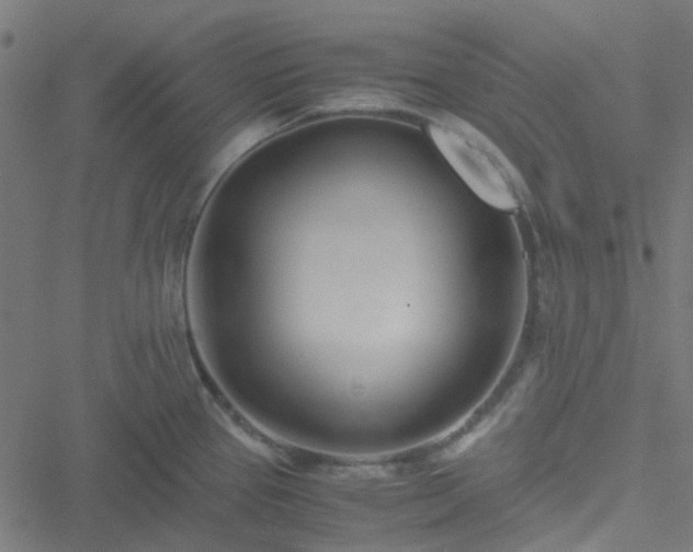 X0000051251337200506241537