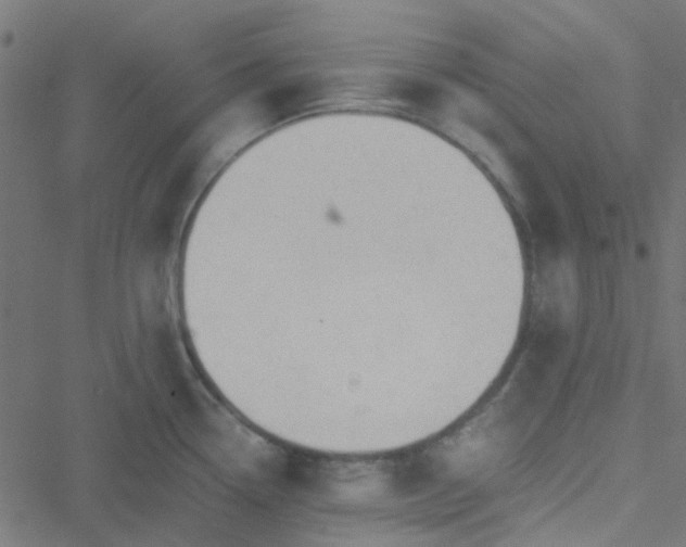 X0000051251338200506241537