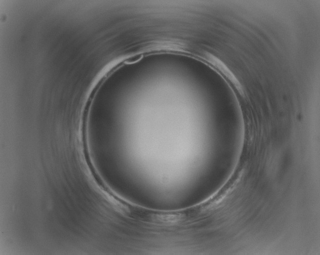 X0000051251339200506241537