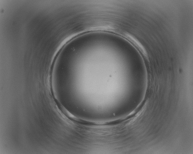 X0000051251340200506241537