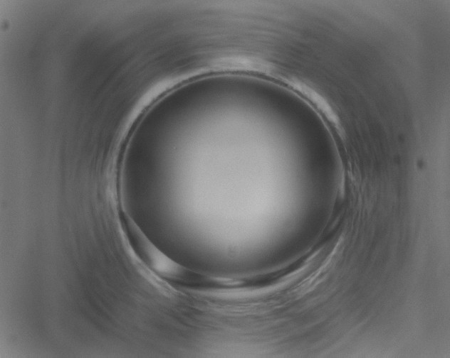 X0000051251342200506241537