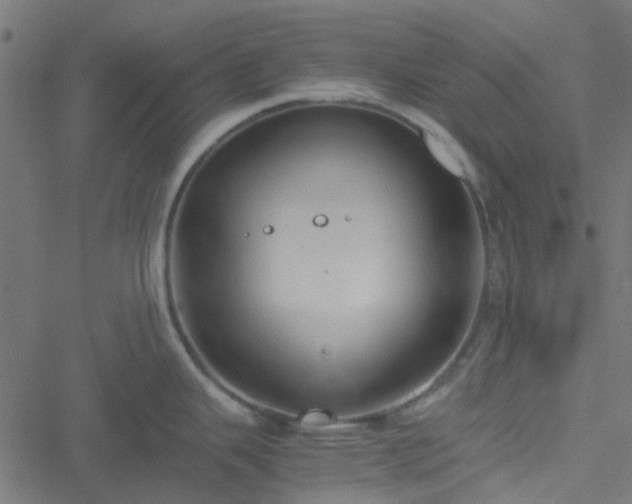 X0000051251343200506241537