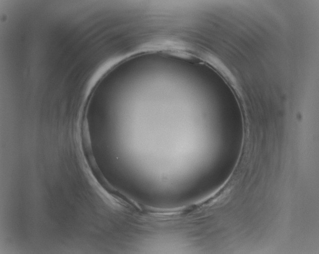 X0000051251344200506241537