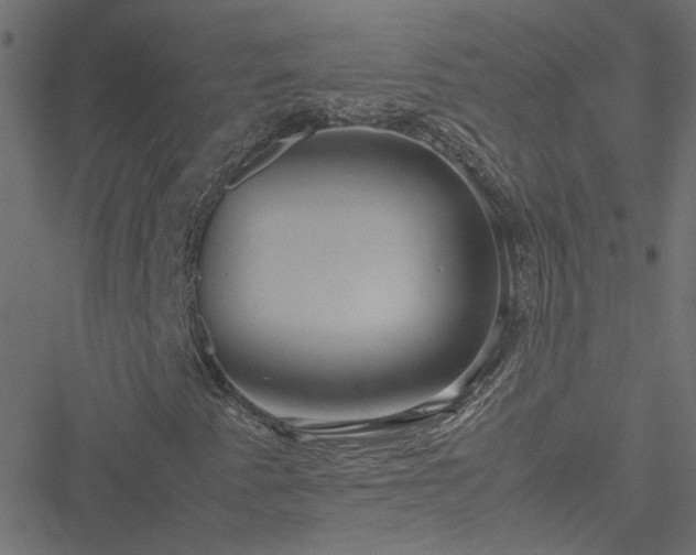 X0000051251345200506241536