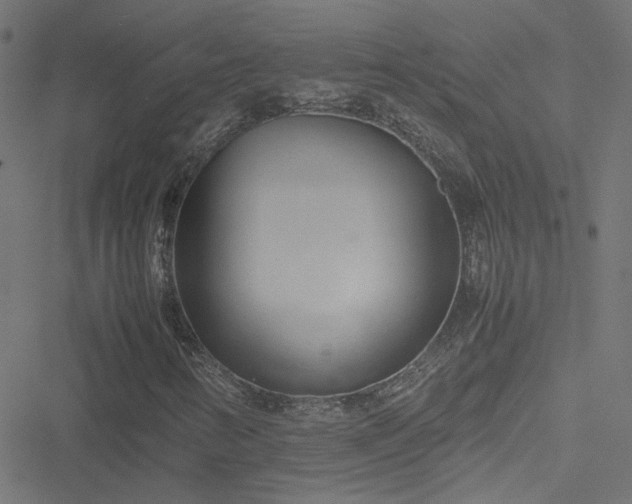 X0000051251346200506241536