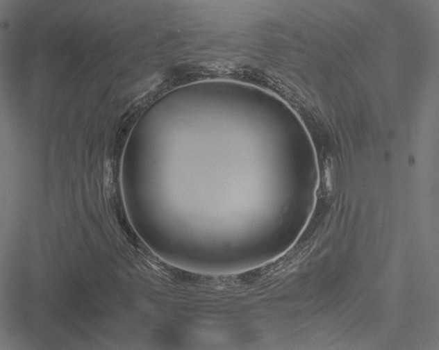 X0000051251347200506241536