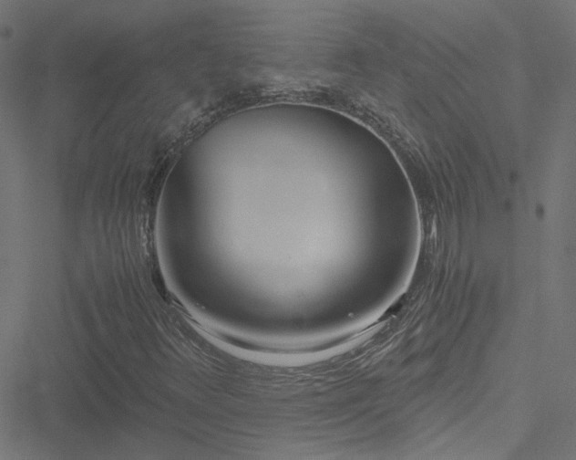 X0000051251348200506241536