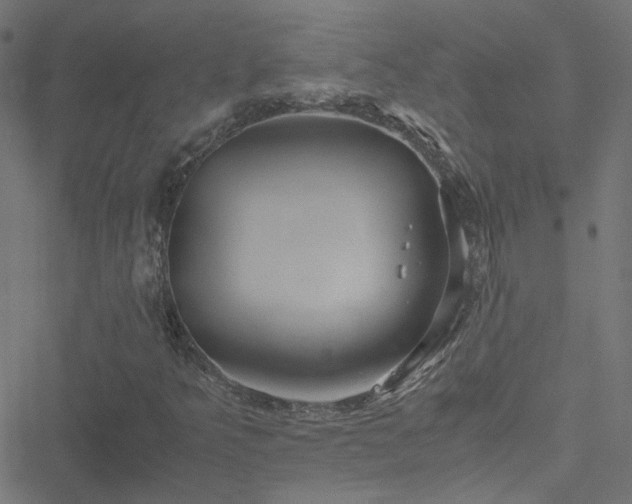 X0000051251349200506241536