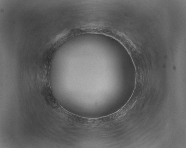 X0000051251350200506241536