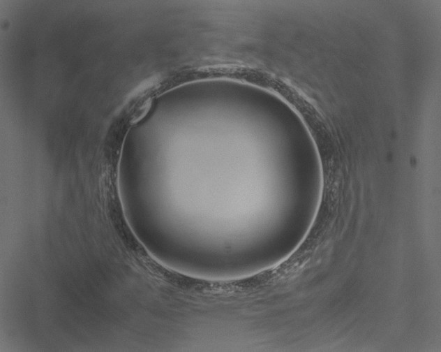 X0000051251351200506241536