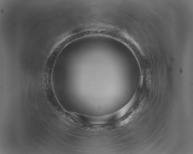 X0000051251352200506241536