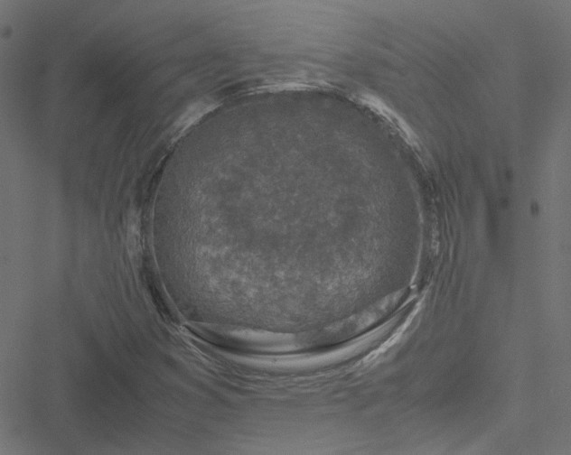 X0000051251353200506241536