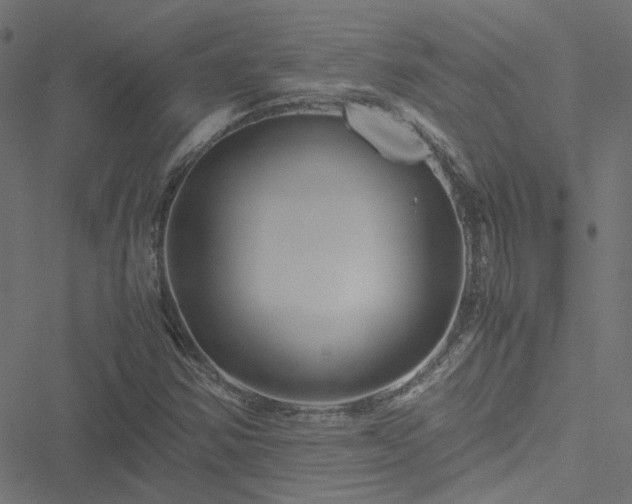 X0000051251354200506241536