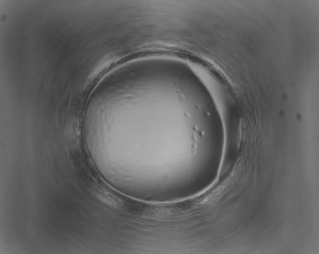 X0000051251355200506241536