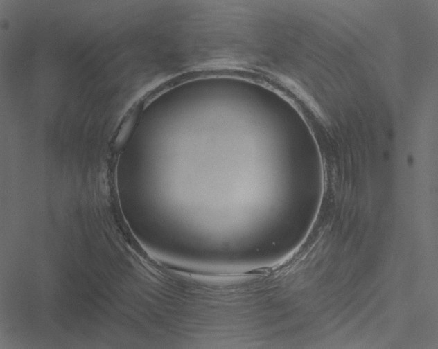 X0000051251356200506241536