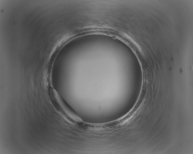 X0000051251357200506241536