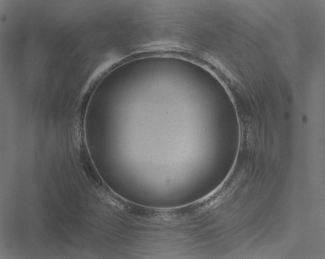 X0000051251358200506241536